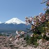 2026チャレンジ富士五湖ウルトラマラソンLR