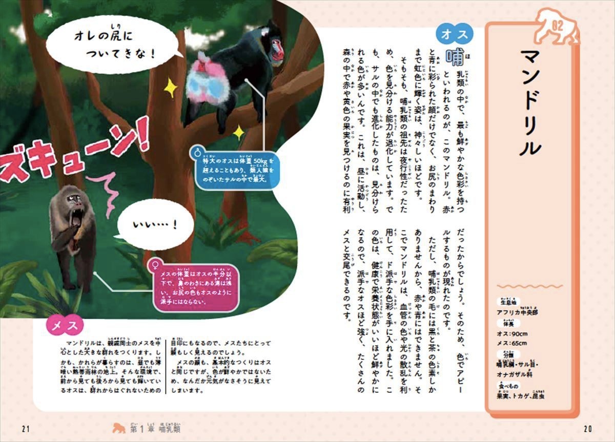 注目の新刊 オスとメスでこんなに違う 意外 納得の つがい動物図鑑