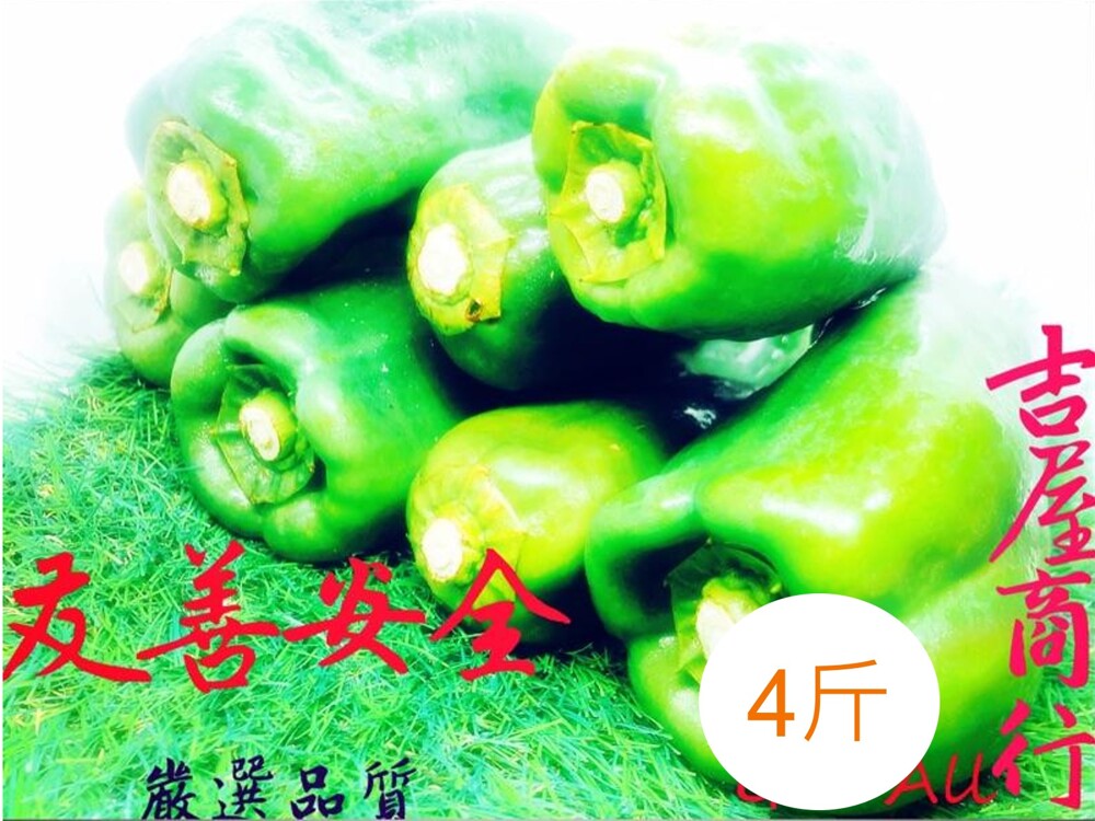 商品介紹 菜椒學名capsicum annuum var. grossum別名甜椒因其體型宛如燈籠及柿子而也叫燈籠椒或柿子椒臺灣話則常作大筒仔又因其外皮多為綠色而俗稱青椒是茄科辣椒屬辣椒的一個變種 營