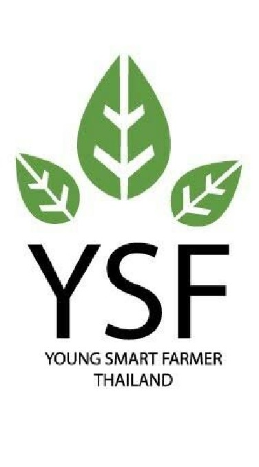 YSF Phisanulok 64