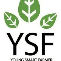 YSF Phisanulok 64