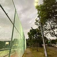 新埔鎮外環道球友揪打群組