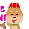 犬派🐶集合！応援宜しくお願いします！
