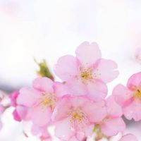 合格体験記閲覧部屋