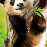 障害者❤️健常者☘️障害者同士😅差別無くお互い語り合う🌈の掛け橋🌈😁