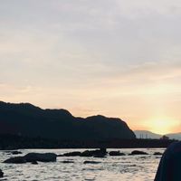 蛋蛋家族
