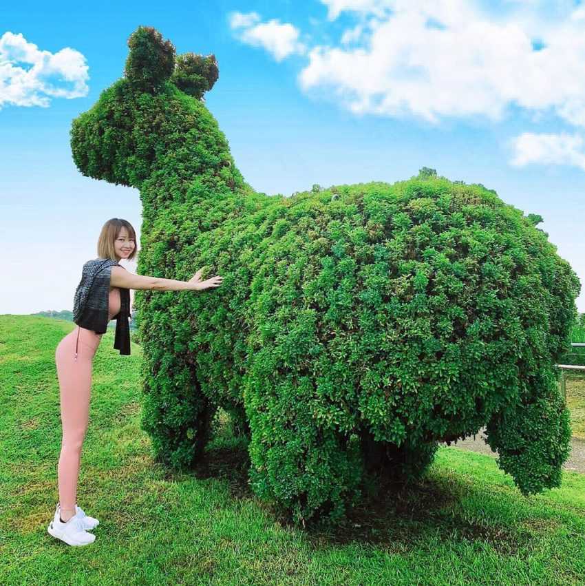 106262820 566808957538782 1508790282003456007 n 嘉義故宮南院｜嘉義新景點｜腹地廣大的亞洲藝術文化博物館，結合傳統文物及現代科技。 2021