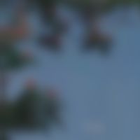 欽隆空運海運集運大陸至台灣代付代購