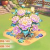 我的花園世界 花開雲不語