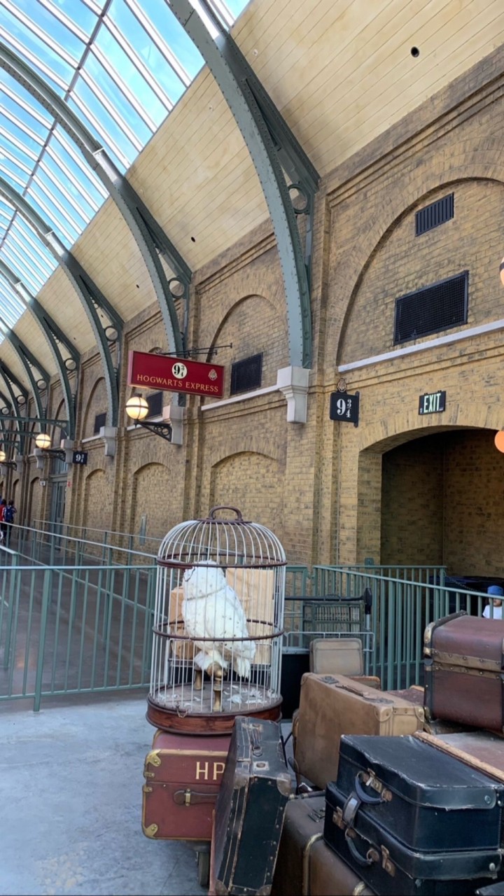 HOGWARTS SCHOOL OF WITCHCRAFT AND WIZARDRY