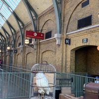 HOGWARTS SCHOOL OF WITCHCRAFT AND WIZARDRY