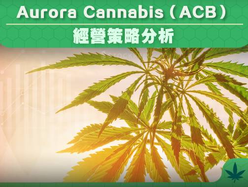 Aurora Cannabis Acb 經營策略分析 股感知識庫stockfeel Line Today