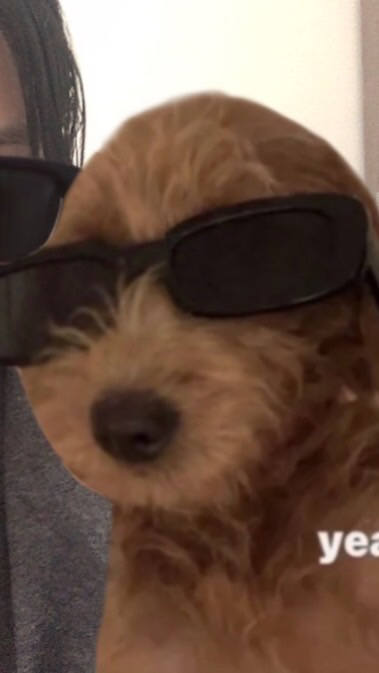 睡不著所以要聊天