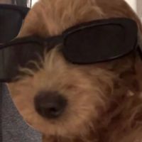 睡不著所以要聊天