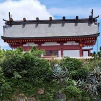 魏爸居家醫療