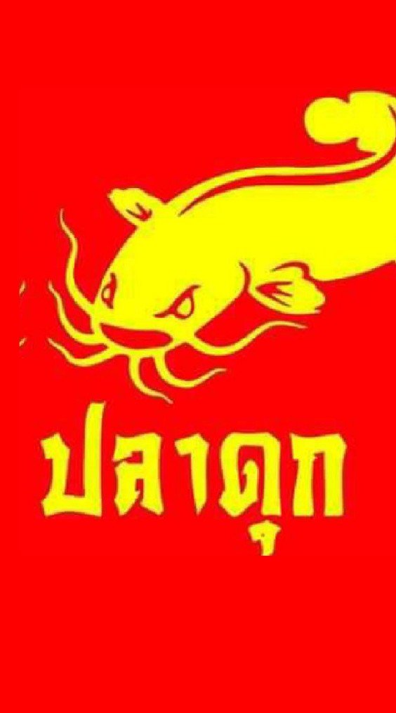 รับซื้อ-ขายปลาดุก