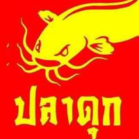 รับซื้อ-ขายปลาดุก