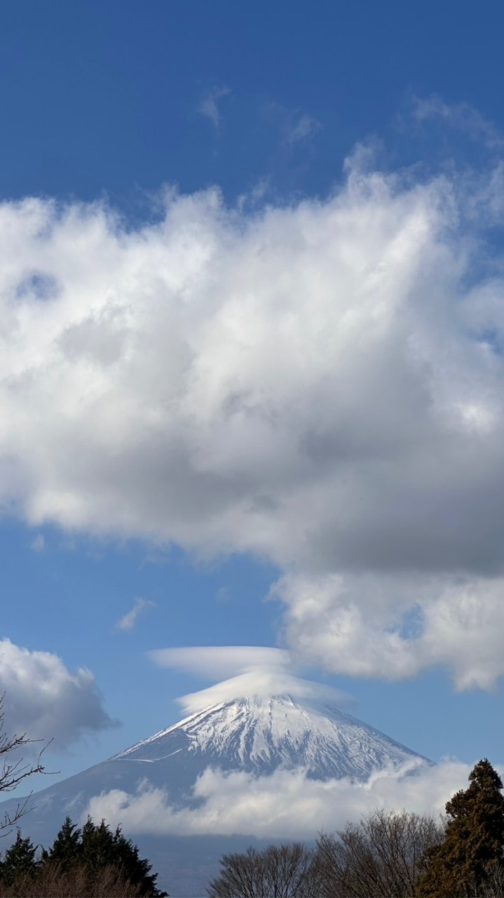 大園*草漯*觀音 出租/買賣房屋資訊PO這邊 /個人交流版