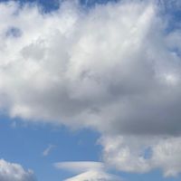 大園*草漯*觀音 出租/買賣房屋資訊PO這邊 /個人交流版