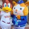EAGLES・BayStarsファン集まれ！野球以外の雑談も大丈夫、プロスピやってる人も歓迎