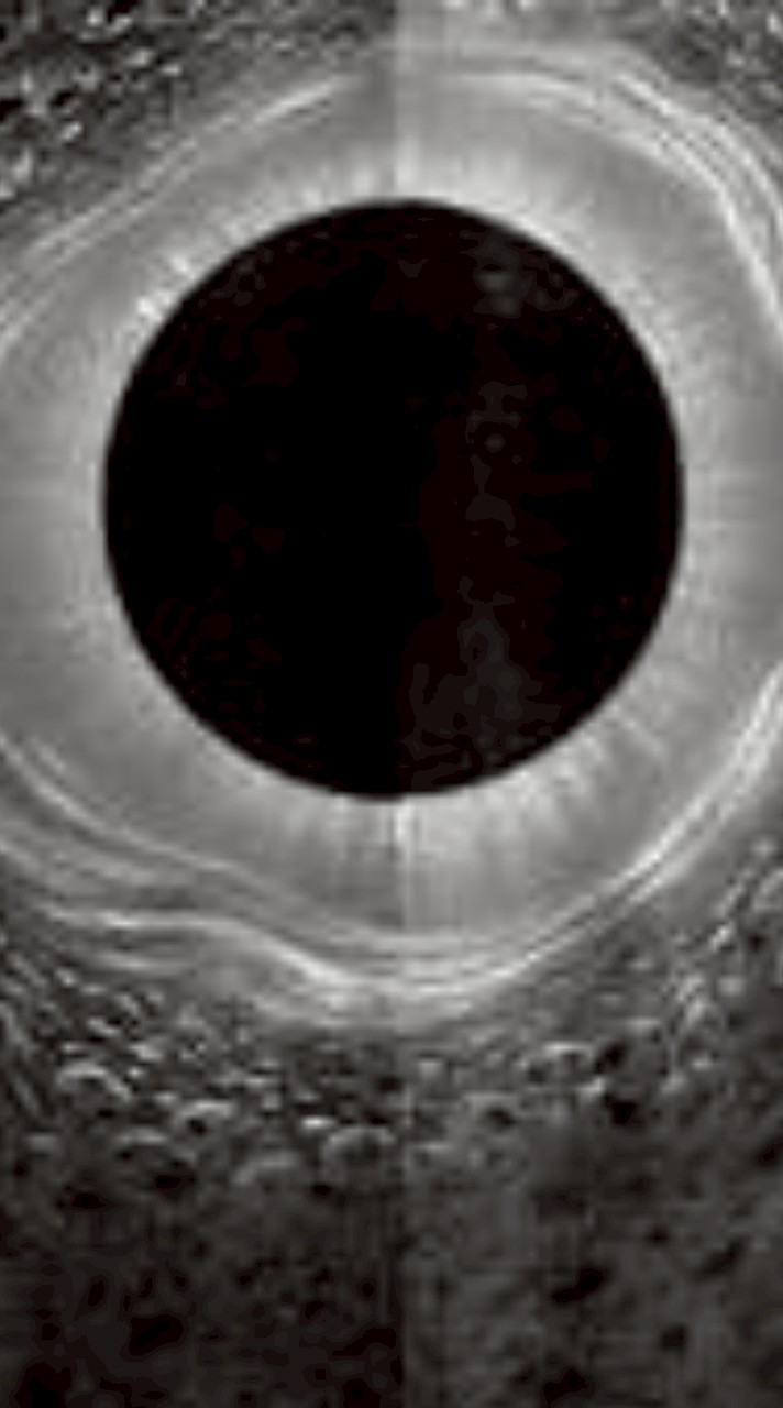 ทำอะไรก็ได้แต่มีกฎ