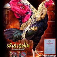 ซุ้มกระหายชัย