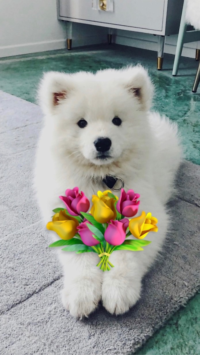 กลุ่มโค๊ดAM by. Facas💐🤍