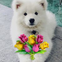 กลุ่มโค๊ดAM by. Facas💐🤍