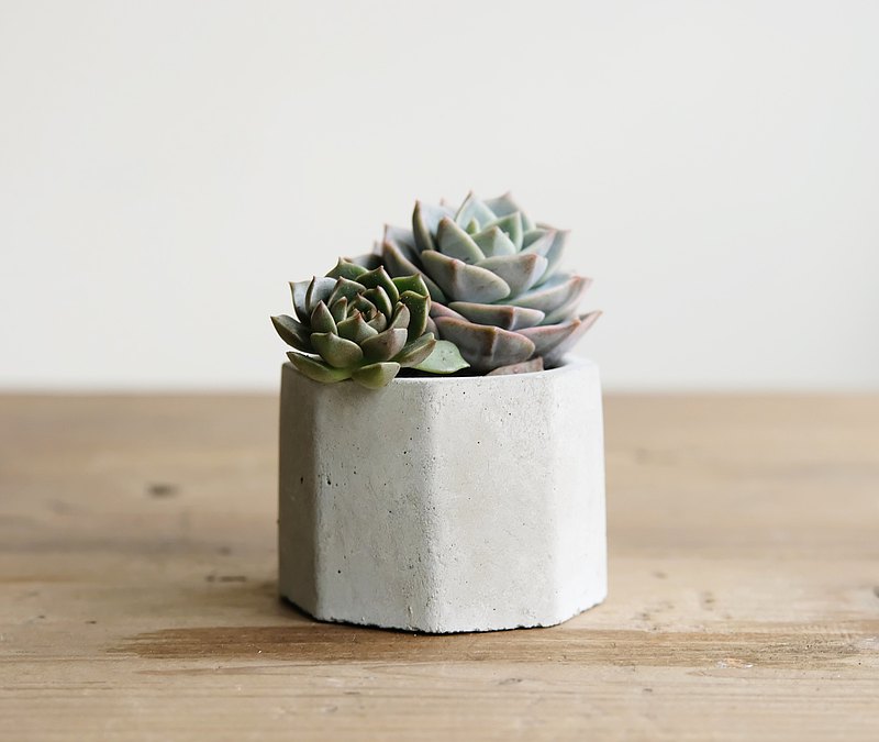 質樸的水泥、簡單的造型，生活中的療癒良伴