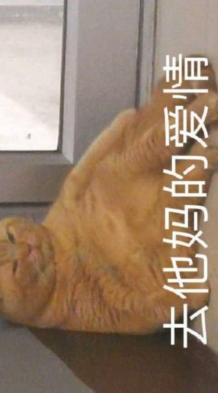 聊聊藍狐獴