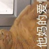 聊聊藍狐獴