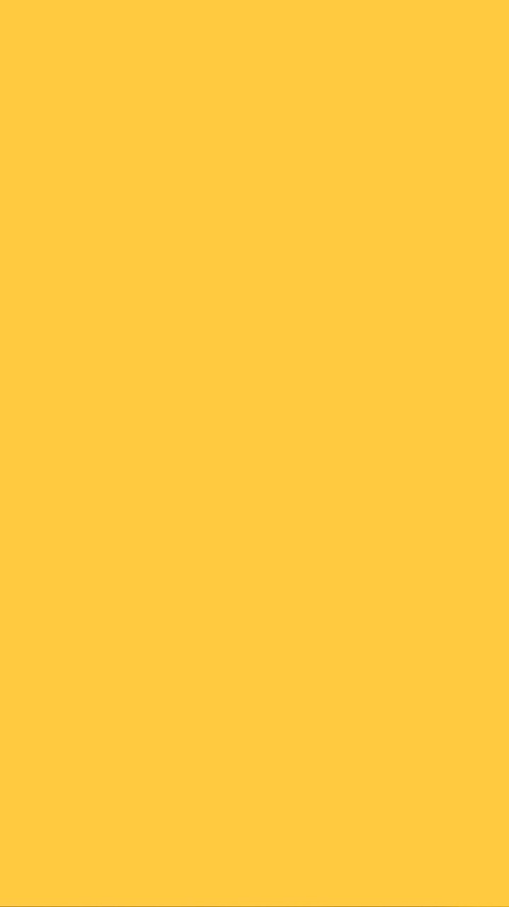 YELLOW( BIZ BASH )