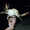 釣魚！釣螃蟹！釣軟絲！釣點釣況聯誼會