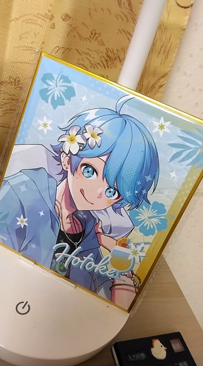 東海　中部住みのいれりすさんおいでーーー!!!!