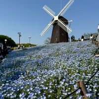 関西☀️大阪🚭非喫煙🙆‍♀️30代🙋‍♂️40代🍺昼飲み🎤カラオケ🧁ドライブ🚗イベントなんでもわいわい