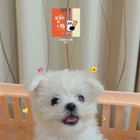 緣緣三世情報局🔎