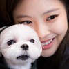 BP、女娃的追星俱樂部