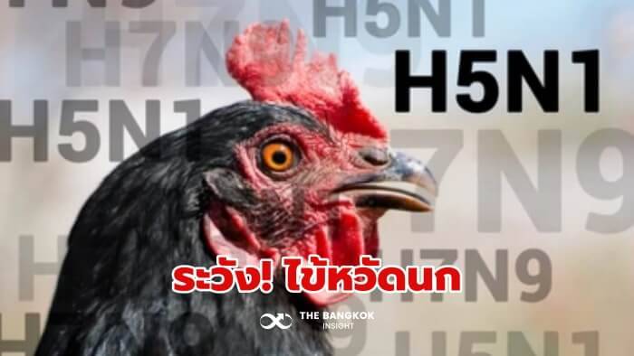 警告してください！  「H5N1鳥インフルエンザ」カンボジアで5人感染、日本でも感染確認に注意 | バンコクの洞察