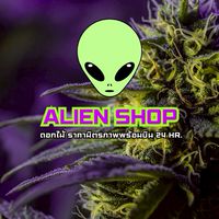 เทส