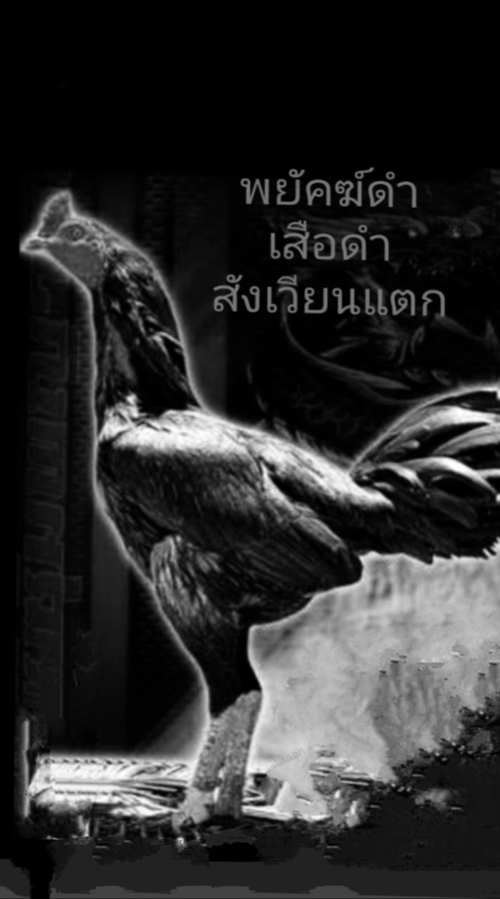 บ้านสวน ส.อินเตอร์ฟาร์ม