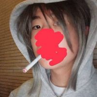 真・佐野軍