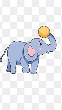 ช้างมาแล้วจ้าาา 🐘🐘