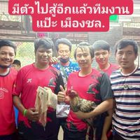 แป๊ะเมืองชล.ฟาร์ม
