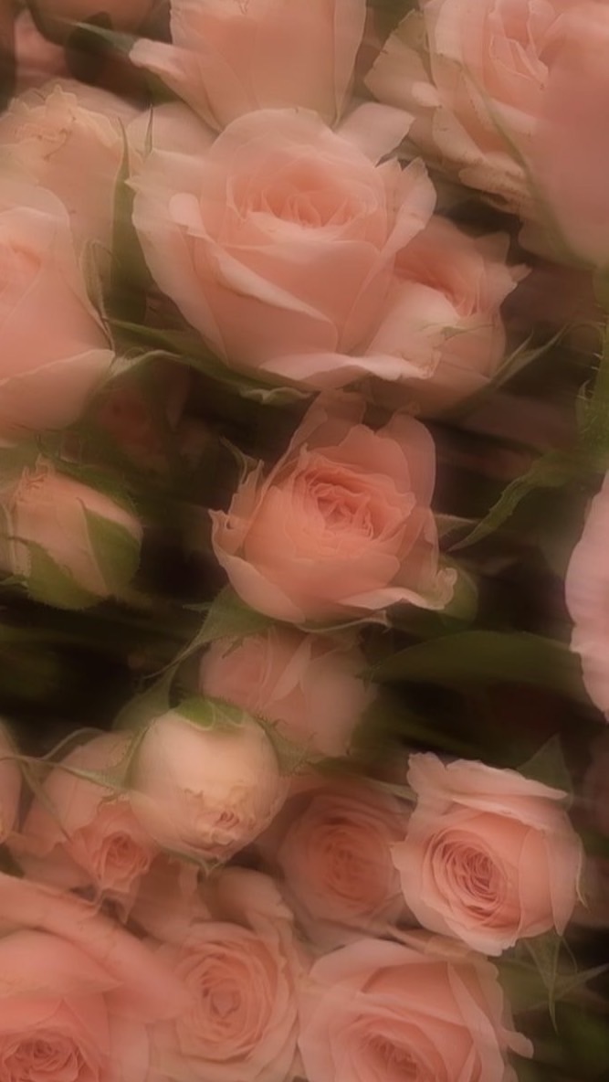 You're all mine! ： 追加式固定