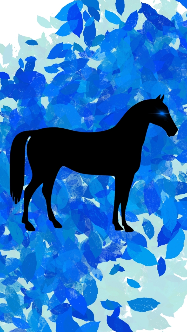-勝利の方程式- everyday地方競馬