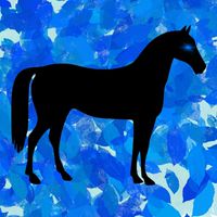 -勝利の方程式- everyday地方競馬