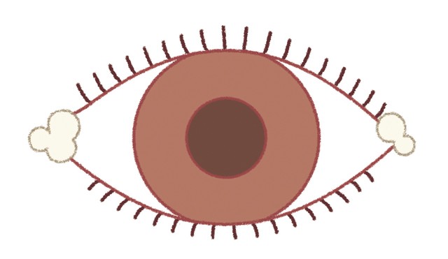 北方 地理 責任 目やに 昔から Bright Brass Storm Jp