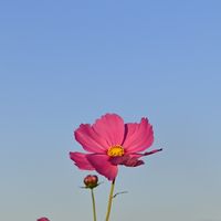 社会復帰までのゆっくり休憩室