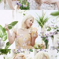 i-dle 花園🪻