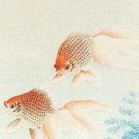 快速排除體內毒素 促進新陳代謝
